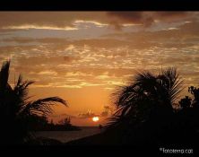 montego bays sunshine jamaica.jpg